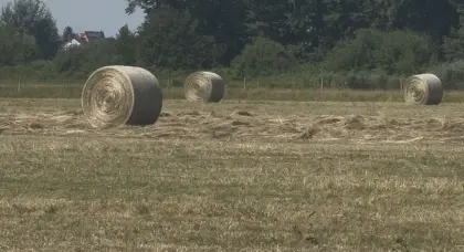 Heu ab Feld