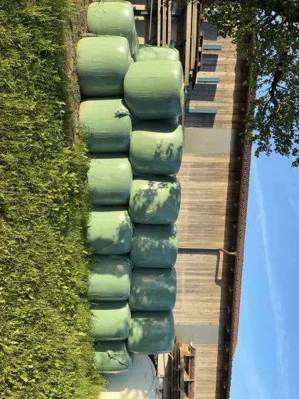 60 Stk. Maisballen