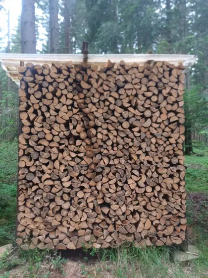 Brennholz