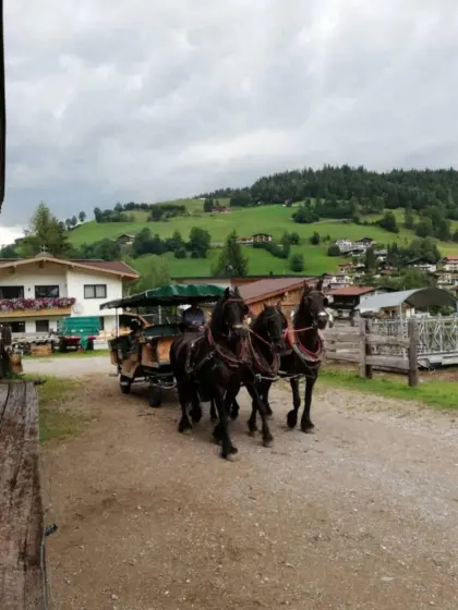 Kutsche für bis zu 12 Personen