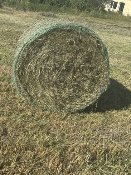 Heuballen zu verkaufen