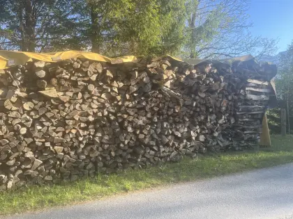 Trockenes Brennholz