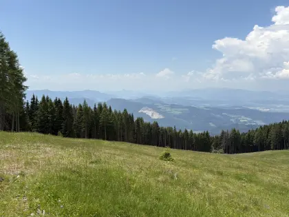 6,92 ha Almfläche auf der Saualpe, öffentliches Bieterverfahr