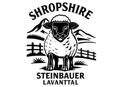 Shropshire Herdbuchlämmer