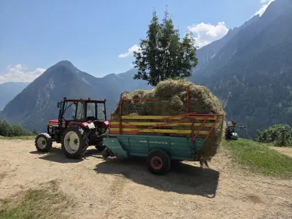 Steyr Ladewagen