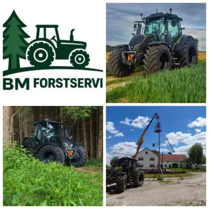 Forstarbeiten