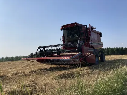 Case 1460 Axial