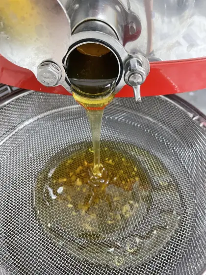 300 kg Waldhonig aus biologischer Bienenhaltung