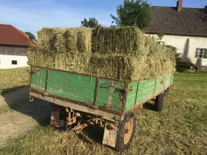 Plateau-Anhänger