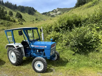 Ford 3000-8 inkl. Typenschein