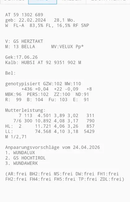 Bio Fleckvieh-Jungkühe (auf Wunsch mit Kalb)