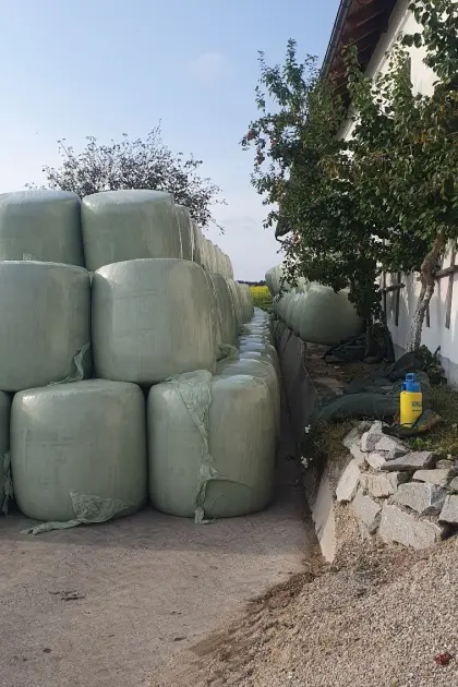 Maisballen, Silomaisballen, Mais, Silomais