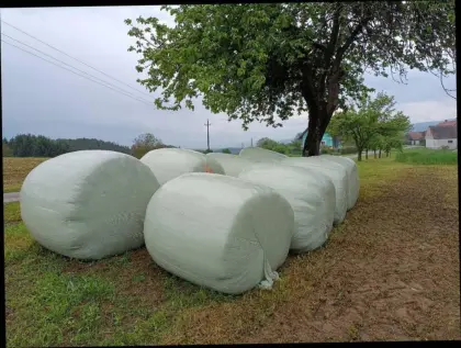 Siloballen 2023/2024