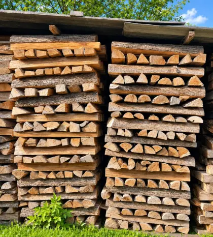 Brennholz Esche, trocken