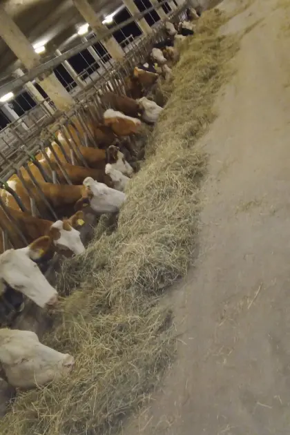 Landwirtschaft zur Weiterführung