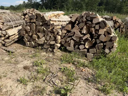 Brennholz Esche, gespalten