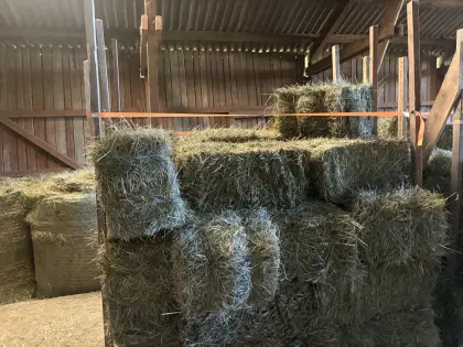 Heu in Kleinballen