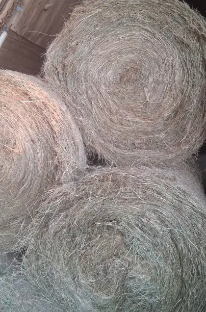 Heuballen 1,25 m 2026