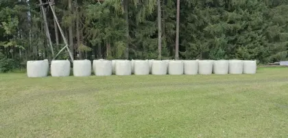 Siloballen, Gärheuballen