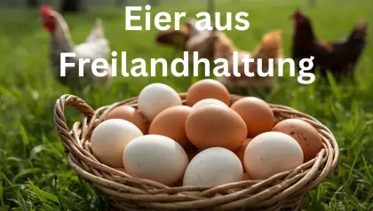Eier aus Freilandhaltung