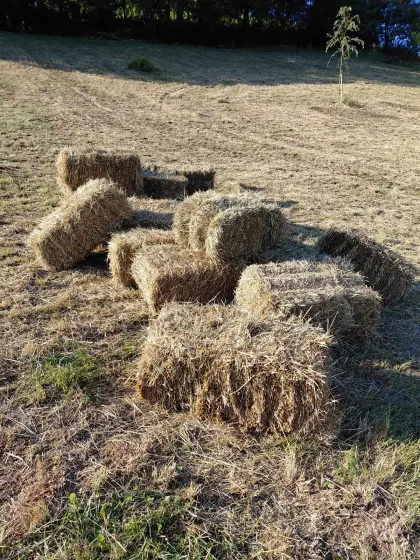 Heu Kleinballen