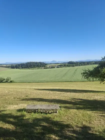 Verkaufe Bio-Weizenstroh