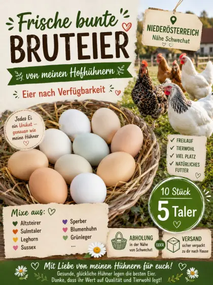 Bruteier von bunten Hofhühnern