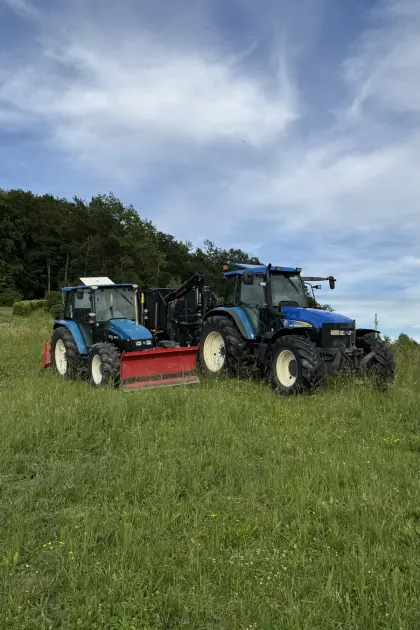 Holzschlägerung, Durchforstung, Bringung, Kranarbeiten