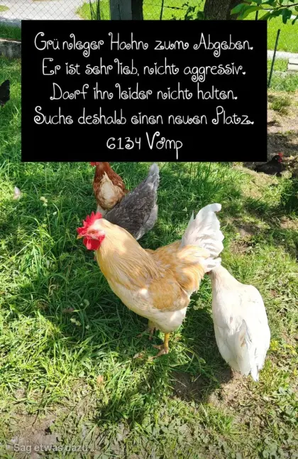 Grünleger-Hahn