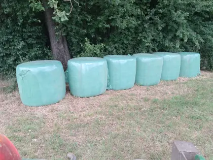 Gärheu