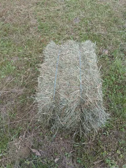 Heuballen