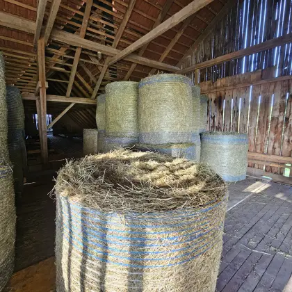 Heuballen