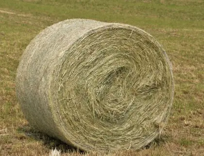 Heu, Rundballen