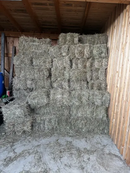 Heu-Kleinballen 1. Schnitt 2026