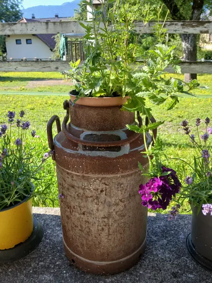 Alte Bauern-Milchkanne