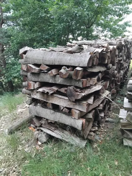 Brennholz Buche
