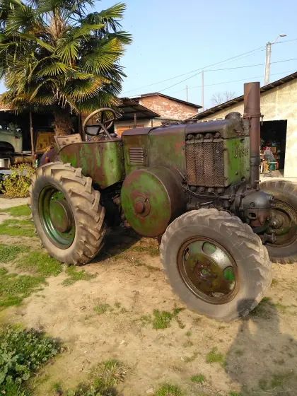 Ursus 451