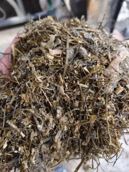 Gras-/Maissilage