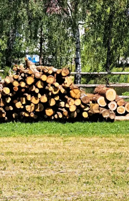 Brennholz