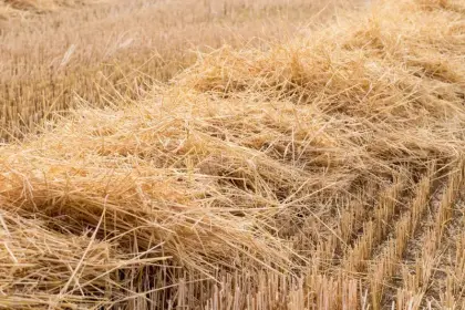 Stroh ab Feld