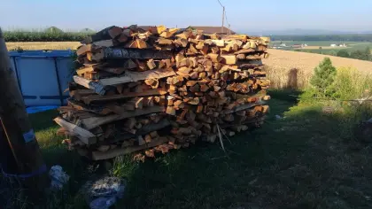 Mischholz