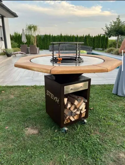 Griller, Feuerplattengrill, Plancha
