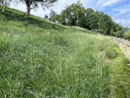 Gratis Weide, Futteraufwuchs 0,7 ha für Schafe, Ziegen, Kälber