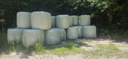 Siloballen, erster Schnitt 2025