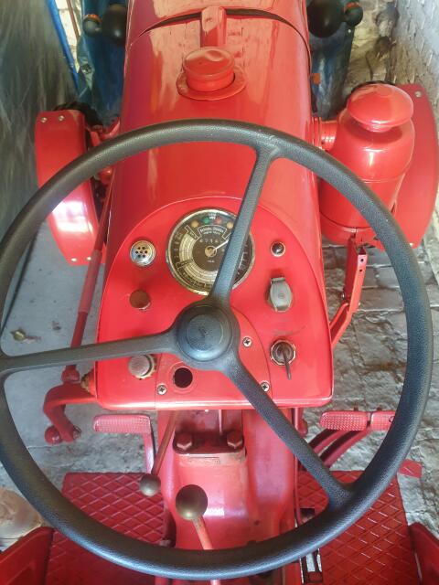 Gepflegter Porsche 219 Oldtimer Traktor