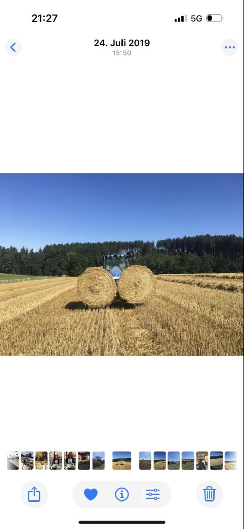 6 Stk. Strohballen