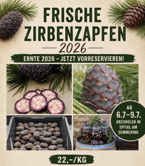 Zirbenzapfen 2026