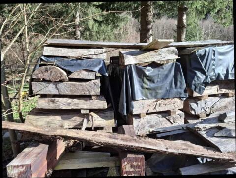Lindenholz