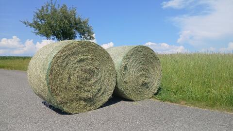 Heuballen 1. Schnitt 2026
