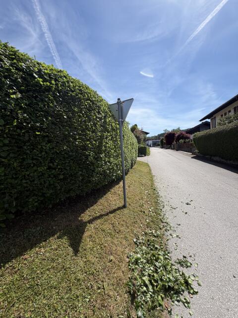 Heckenschnitt, Rasenschnitt